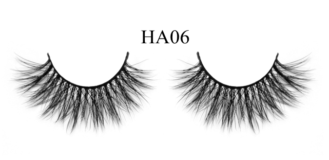 HA06-1