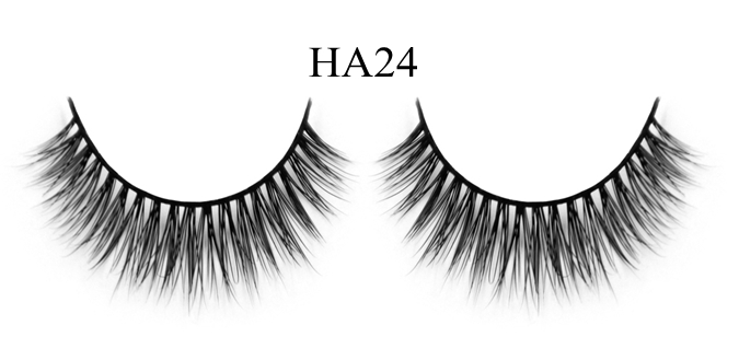 HA24-1