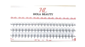 4D Pre-Fanned Russian Volume Lashes HV04A